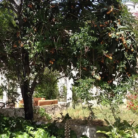 Casa Del Caminero En Country house Tejeda (Gran Canaria)